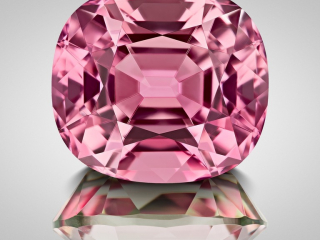 Professional gem photography of a bi-color Tourmaline by Arjuna Irsutti