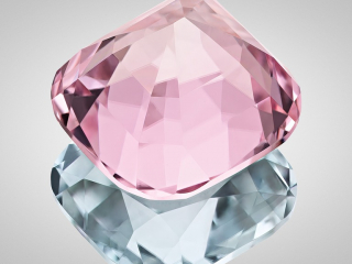 Professional gem photography of a bi-color Tourmaline by Arjuna Irsutti