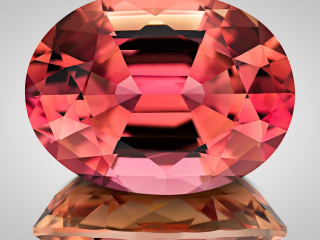 Professional gem photography of a bi-color Tourmaline by Arjuna Irsutti