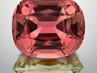 Professional gem photography of a bi-color Tourmaline by Arjuna Irsutti