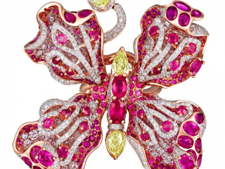 Ring butterfly – Jewelry photography by Arjuna Irsutti Bangkok Professional jewelry photography of a butterfly ring by Arjuna Irsutti